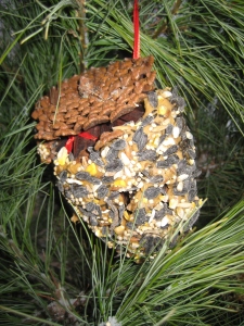 Pine Cone with Peanut Butter and Rolled in Bird Seed